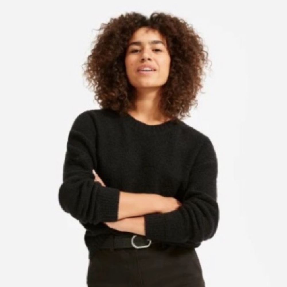 Everlane Teddy Crew